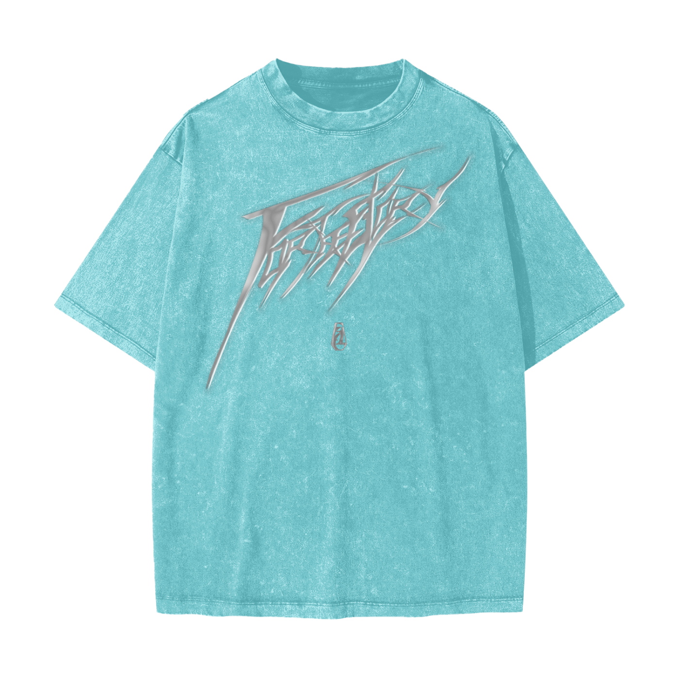 Heavyweight Snow Washed T-Shirt